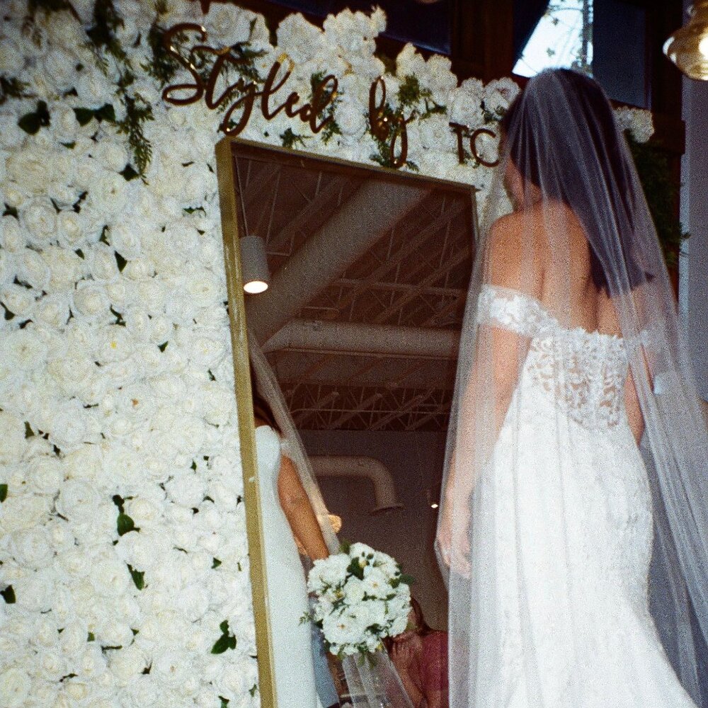 PRONOVIAS SYRINX Wedding Gown NWT